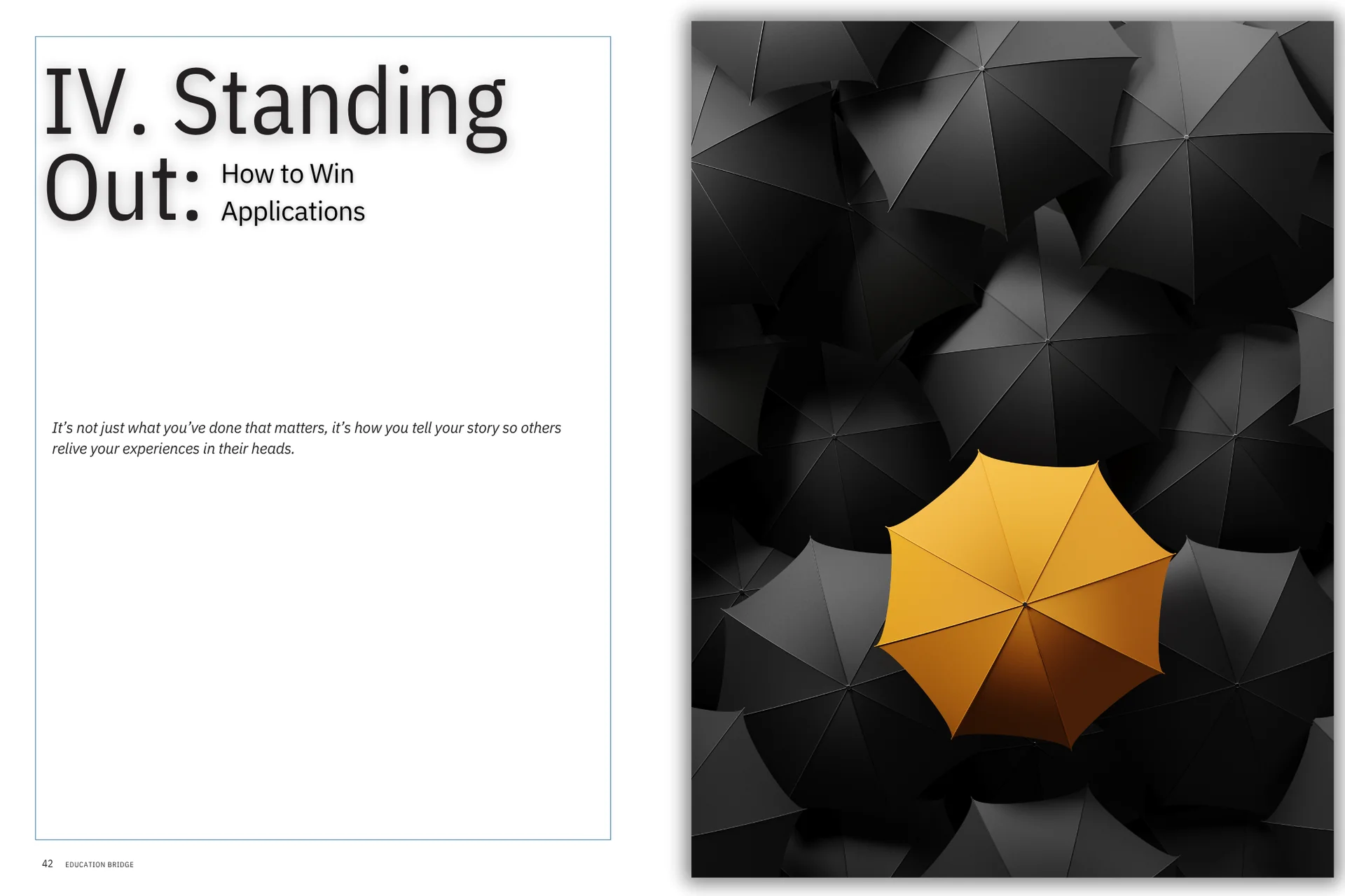 Little Bet Innovations graphics